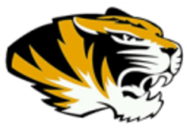 Tigers - Herscher High School Logo (720x720)