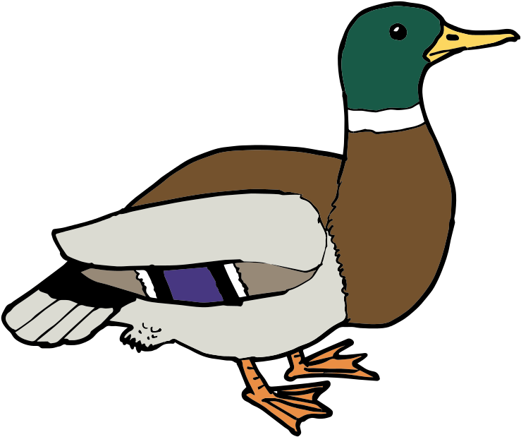 Free Duck Ø¨ø - Duck Clipart (1024x1024)