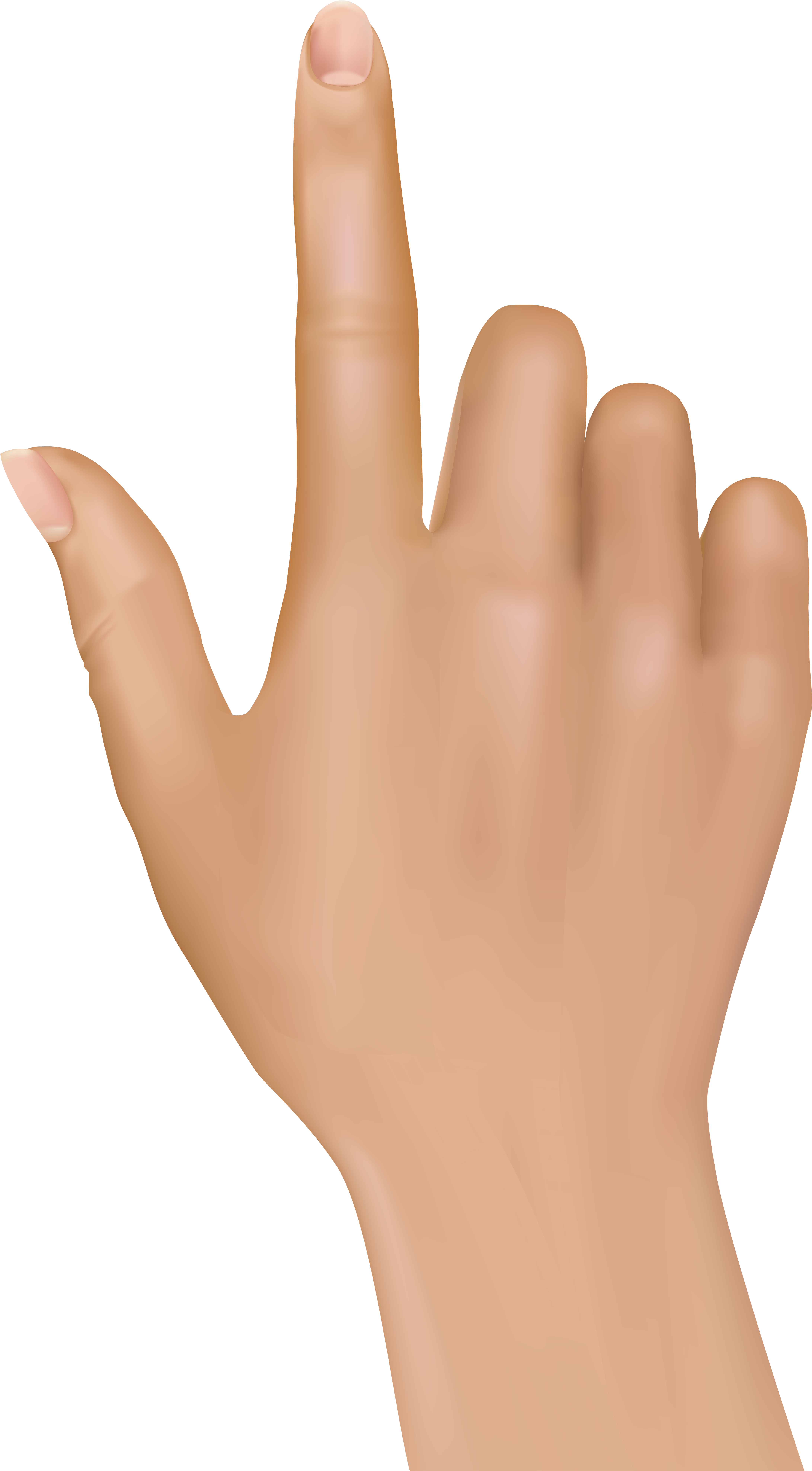 Tuching Finger Hand Png Clip Art - Hand Png (4643x8000)