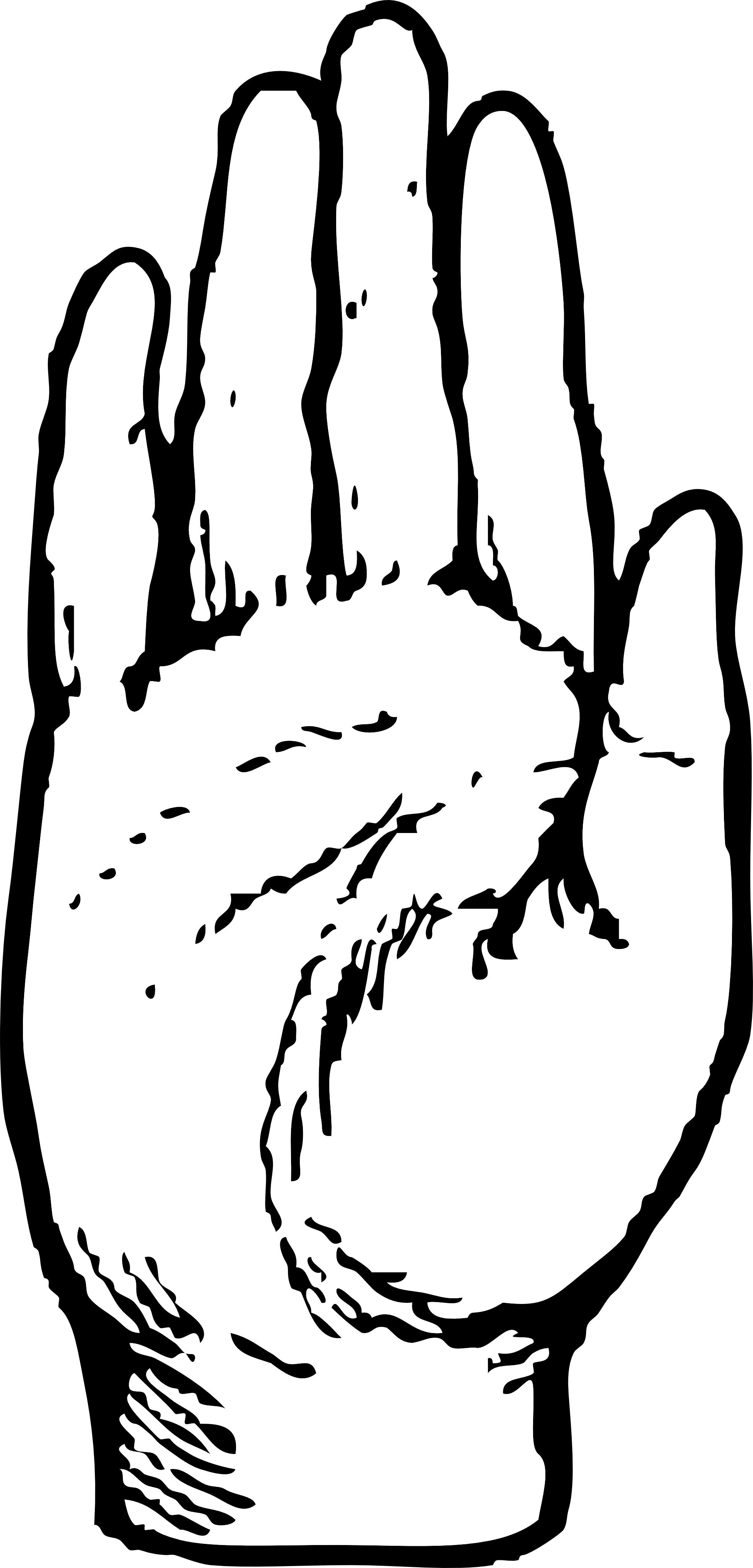 Clipart Info - Palm Hand Clip Art (1969x4098)