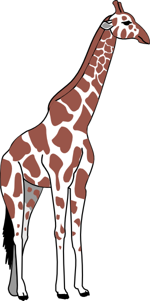 Giraffe Pillow Case (300x599)
