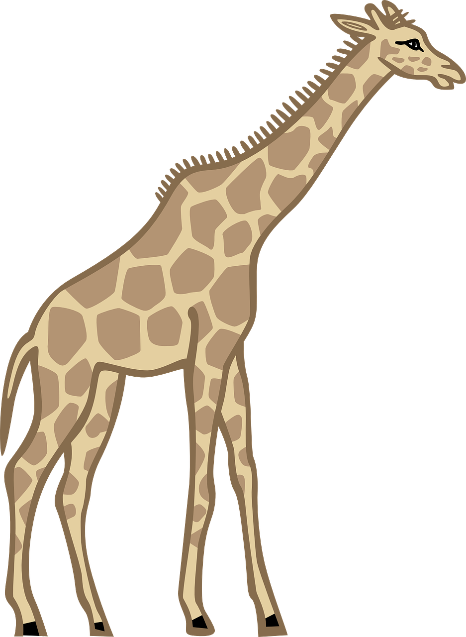 Giraffe Beetle Images - Tall Clipart (937x1280)