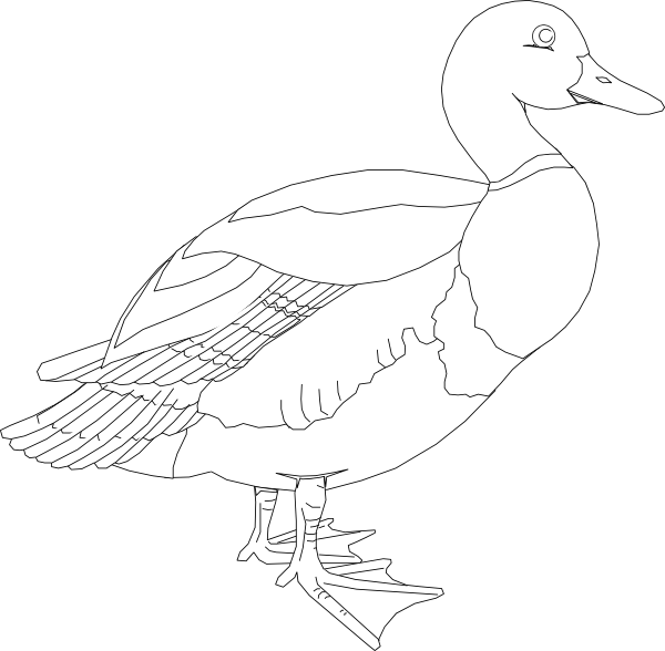 Black And White Duck Clipart - Clip Art (600x588)