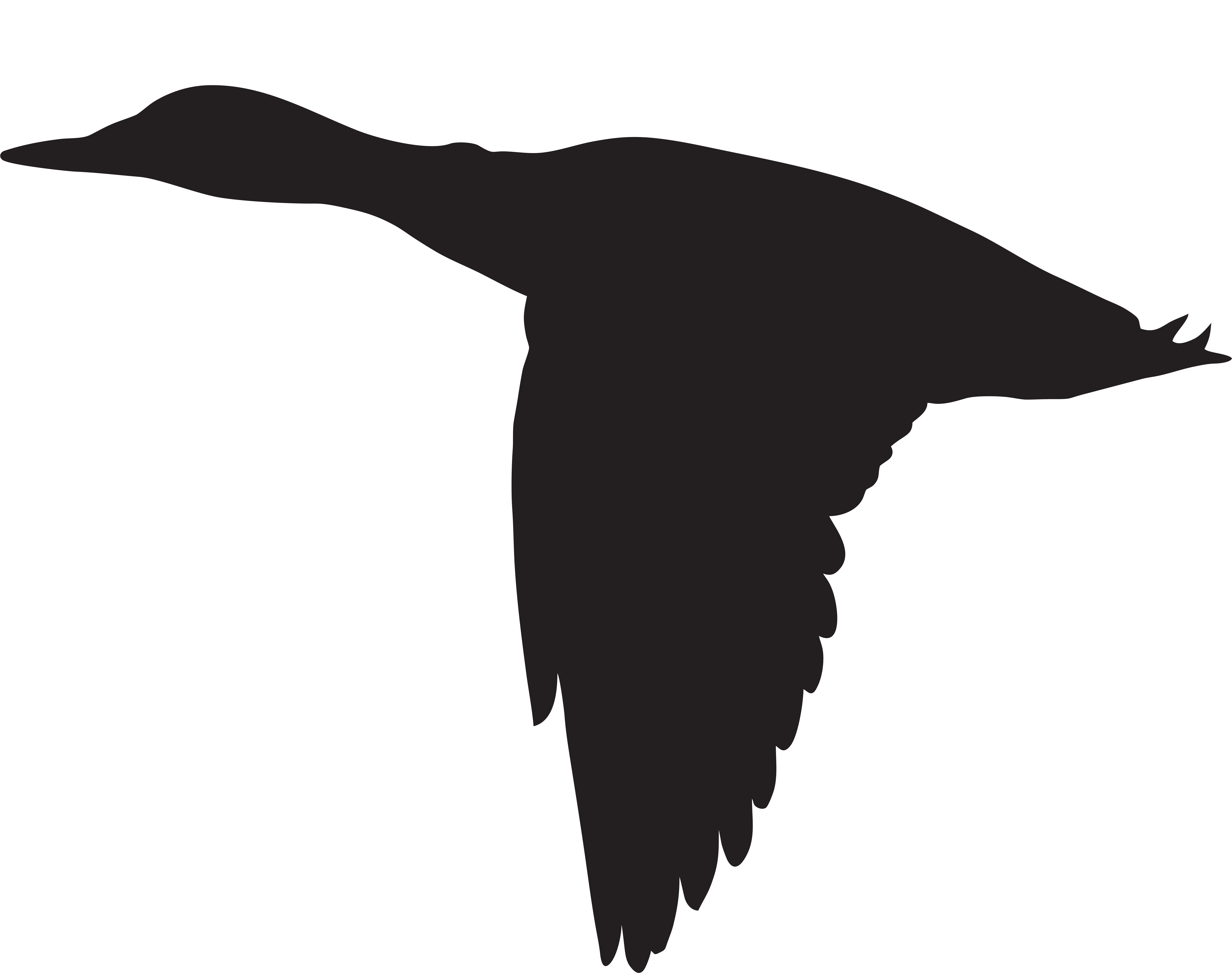 Duck Flying Silhouette Png Clip Art Image - Duck Flying Silhouette Png Clip Art Image (8000x6316)