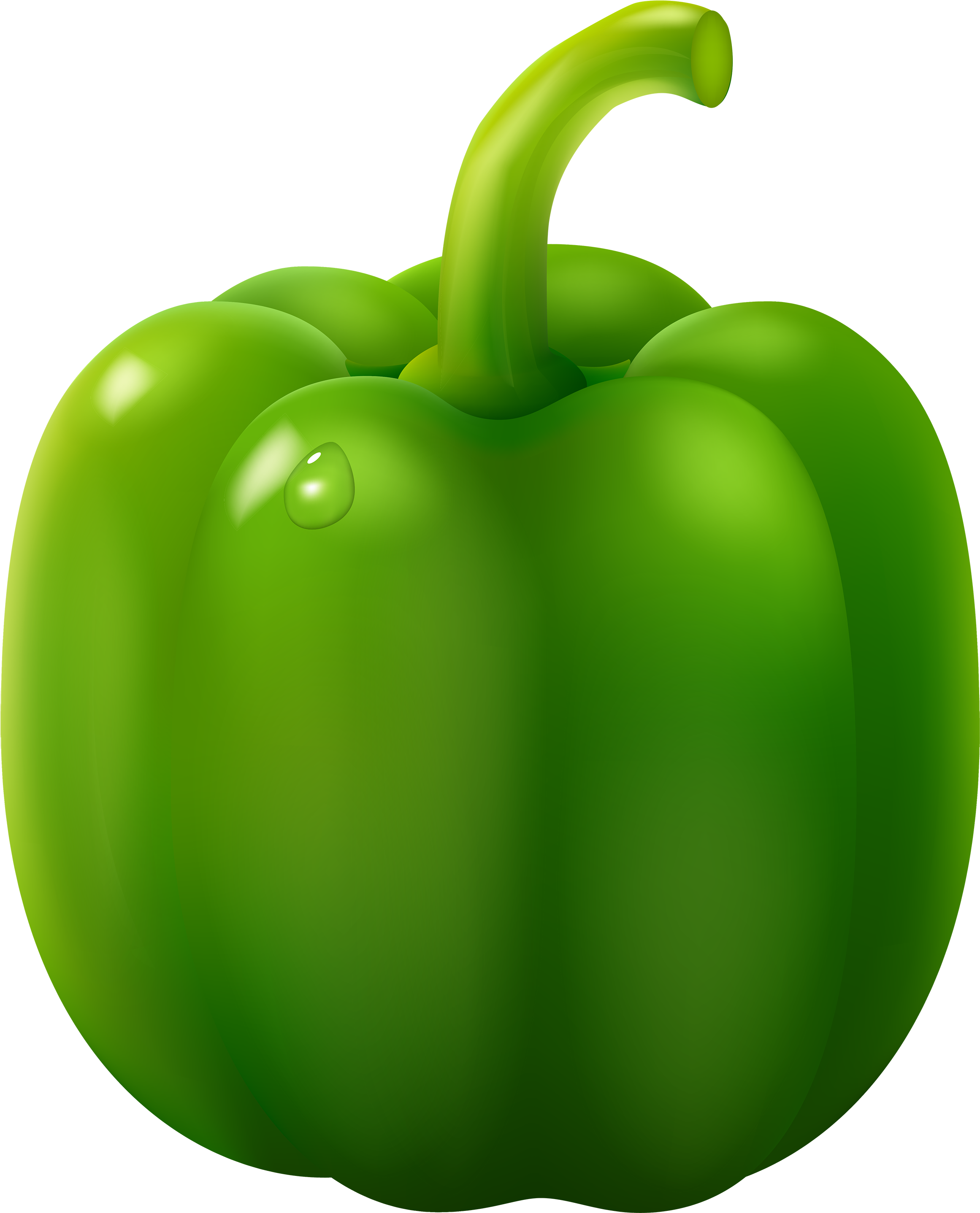 Green Pepper Png Clipart - Green Bell Pepper Clipart (2421x3000)