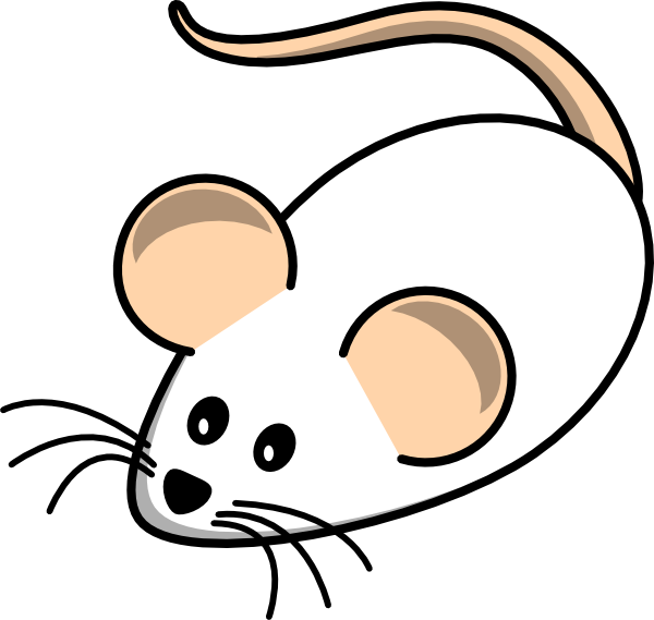Clip Art White Mouse (600x569)