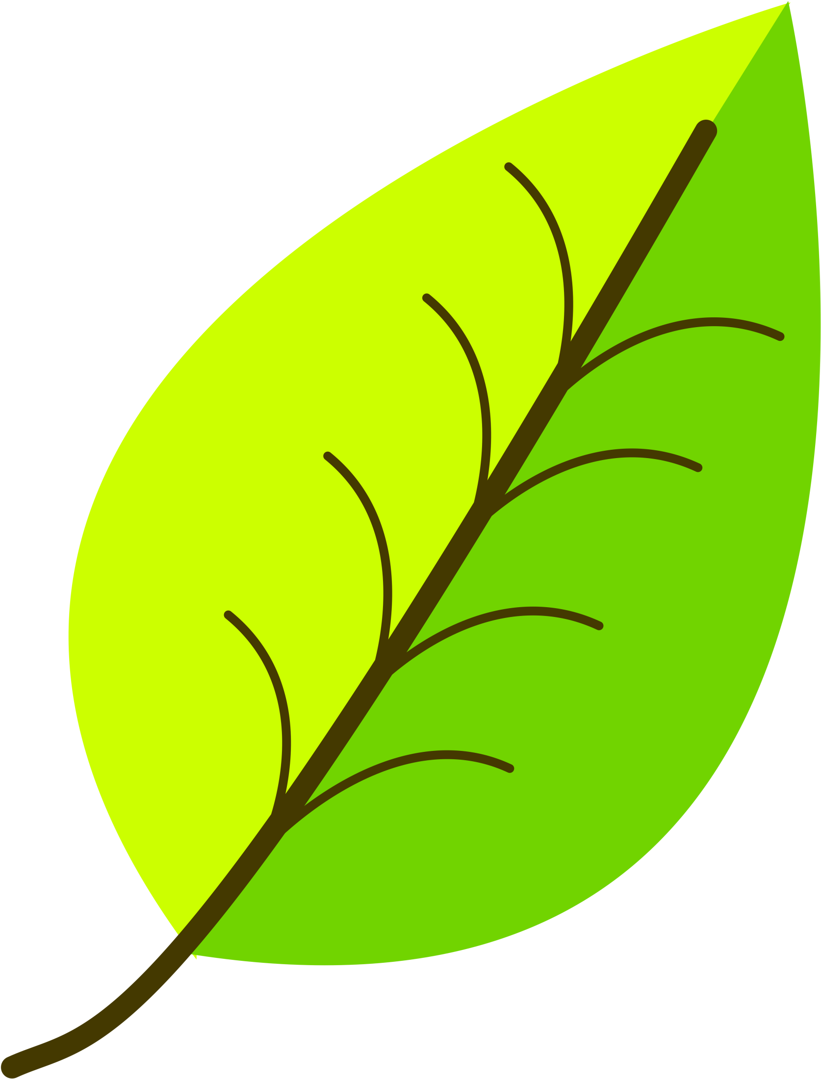 Leaf- With Venation, Two Color - Leaf Clipart Png (2400x2400)