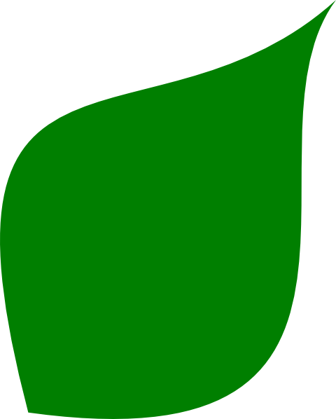 Green Leaf Clip Art At Clker - Green Leaf Shape Png (480x598)
