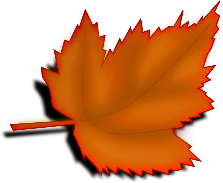 Leaf - Clipart - Tree Leaves Clip Art (958x748)