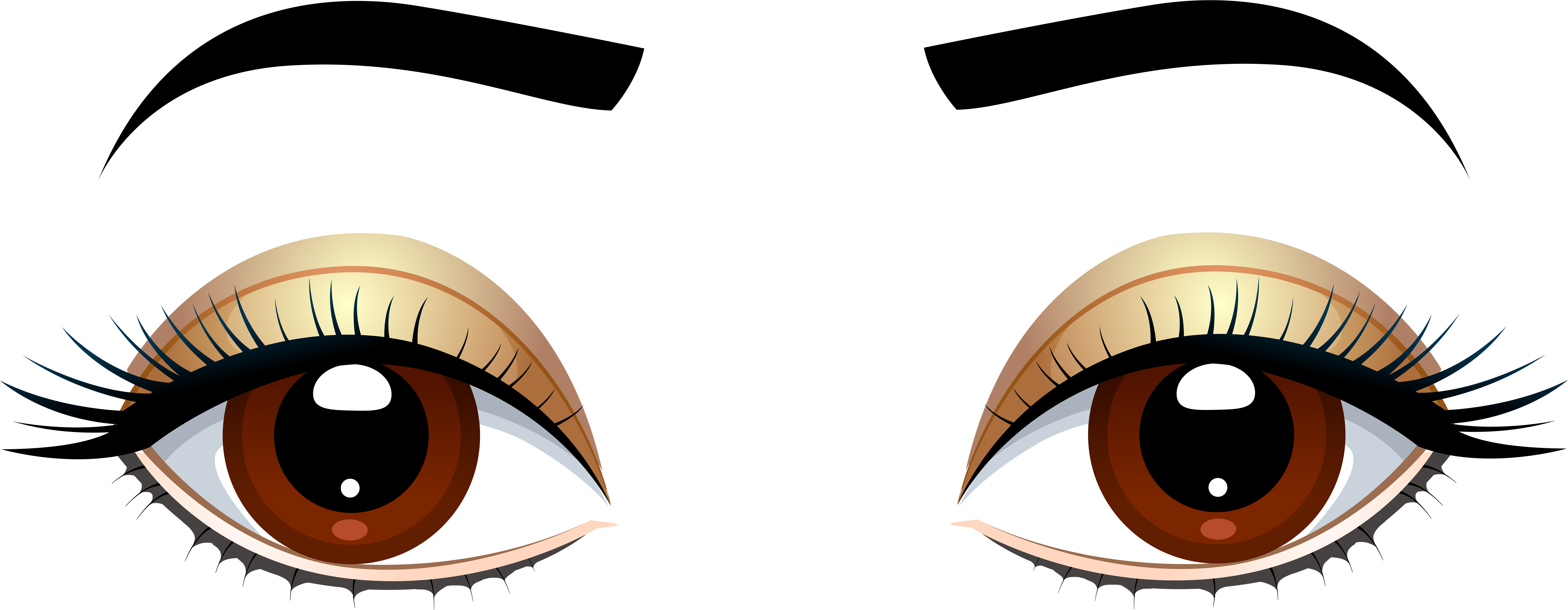 Brown Eyes With Eyebrows Png Clip Art - Eyes Clipart (8000x3219)