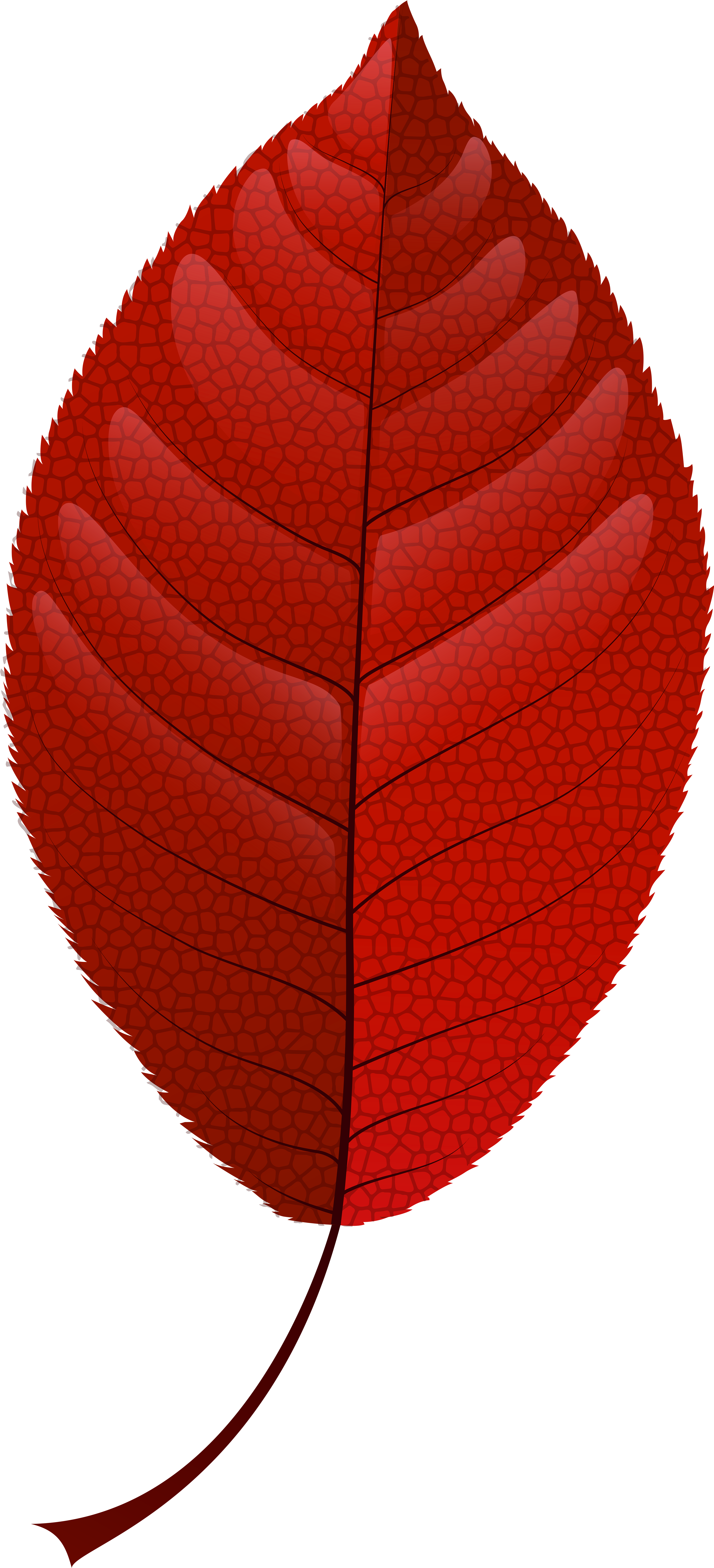 Red Fall Leaf Png Clip Art - Lantern (3640x8000)