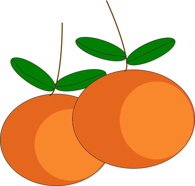 Oranges Fruits Citrus Ripe Juicy Vitamins Sweet - Gambar Vektor Buah Buahan (756x720)