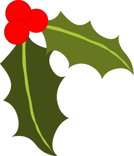 Christmas Holly - Holly Silhouette Png (510x593)