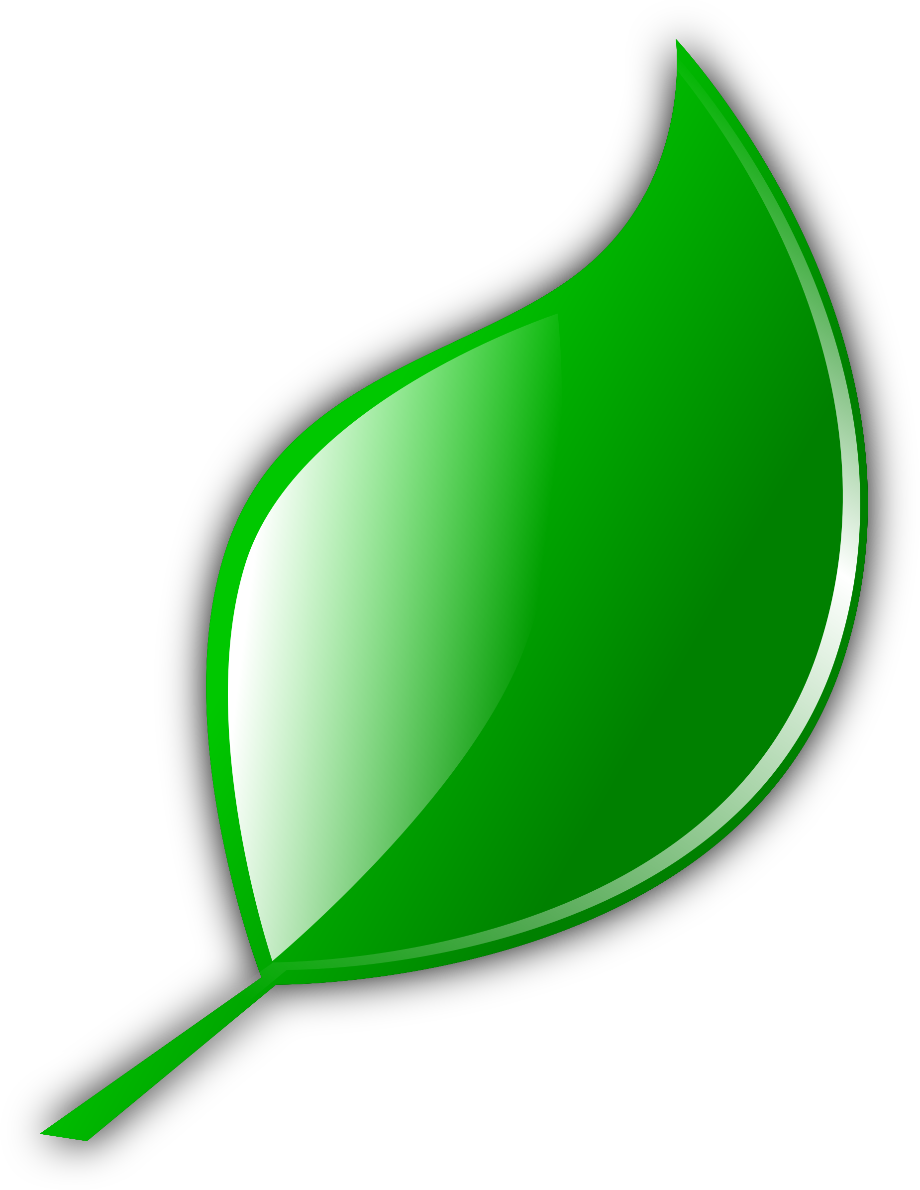 Leaf - Cartoon Leaf Transparent Background (1883x2400)