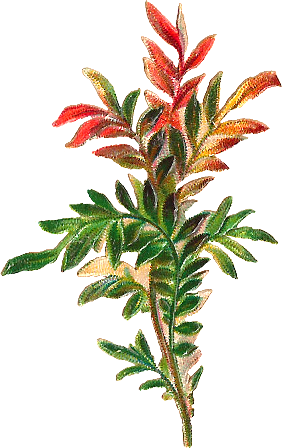 The Second Digital Leaves Download Is Also Designed - The Second Digital Leaves Download Is Also Designed (1055x1600)