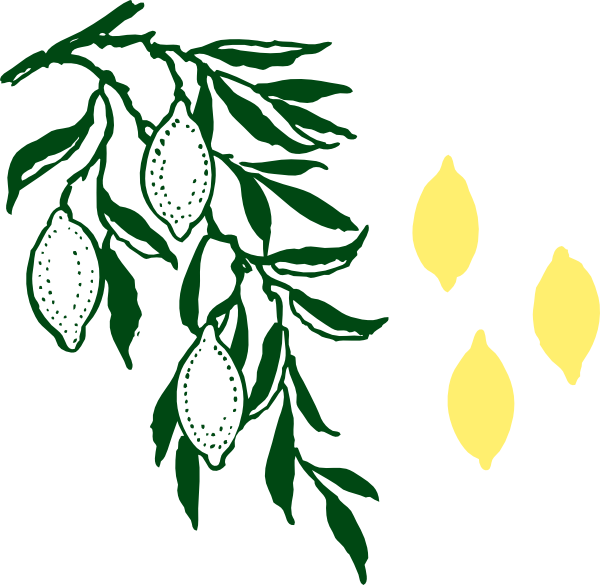 Hanging Plants Transparent Clipart (600x585)