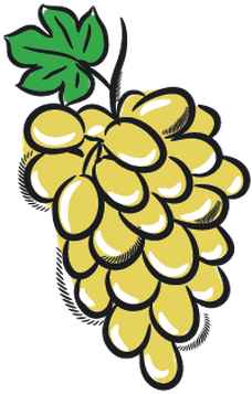 Set Of Fruits - Grape (318x399)