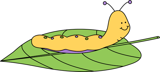 Clip Art Of Butterfly Eggs On Leaves - Life Cycle Of A Butterfly Clipart (543x246)