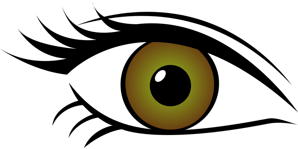 Eye Clipart Transparent Background - Brown Eye Transparent Background (960x480)