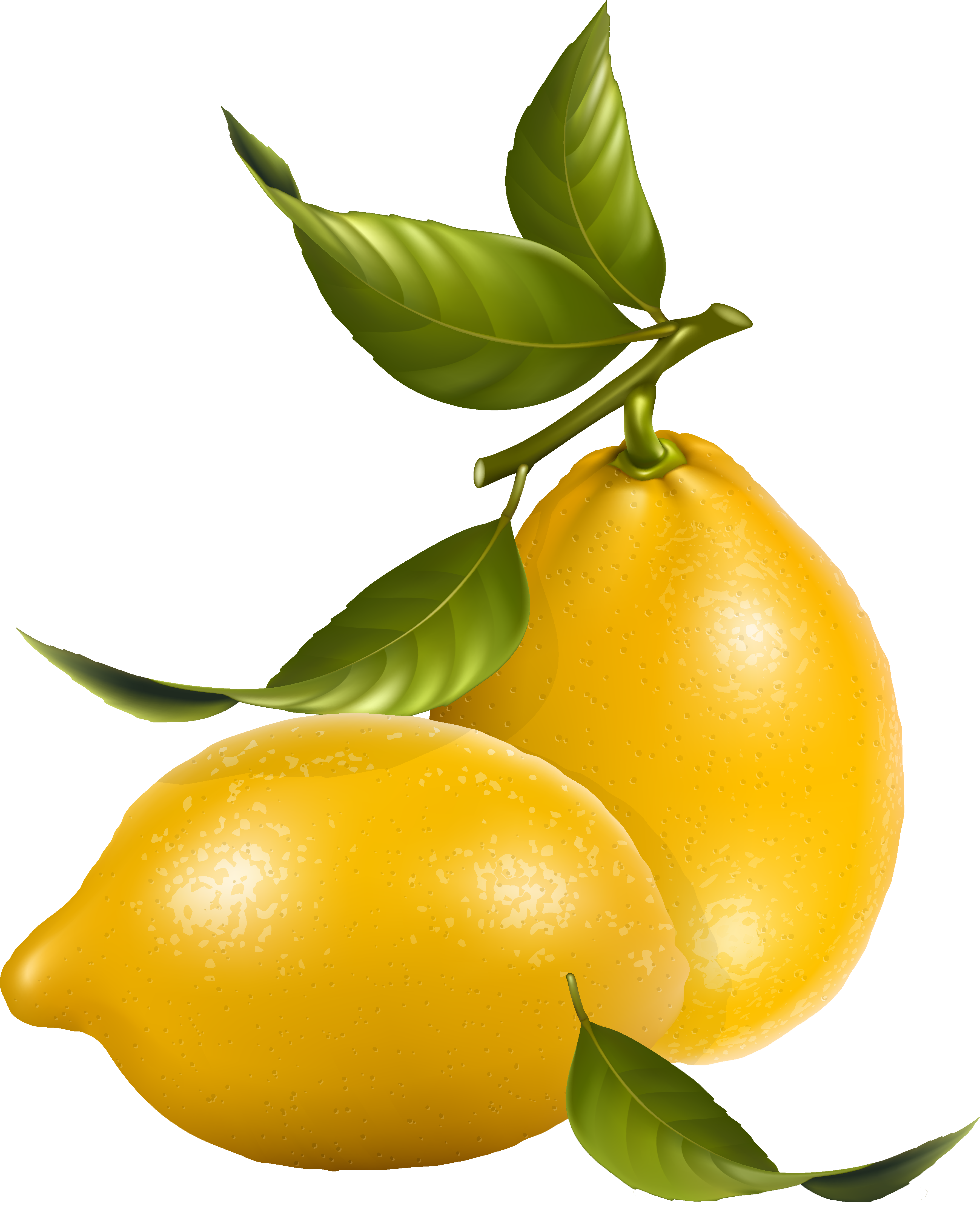 0 Af2ef 5f193004 Orig - Realistic Fruits (3578x4494)