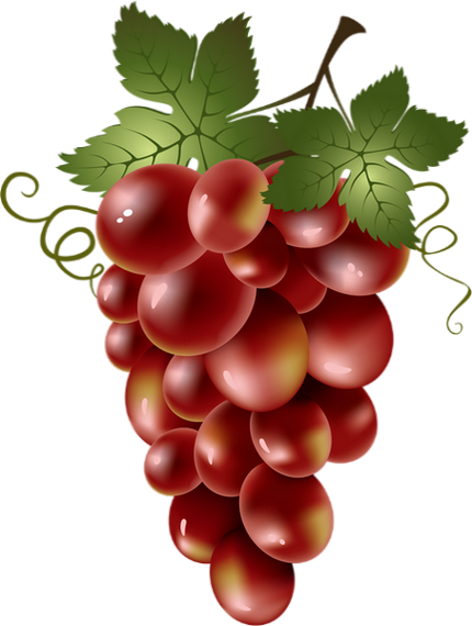 Explore Food Clipart, Fruit Clipart And More - Imagenes De Racimos De Uvas (430x570)