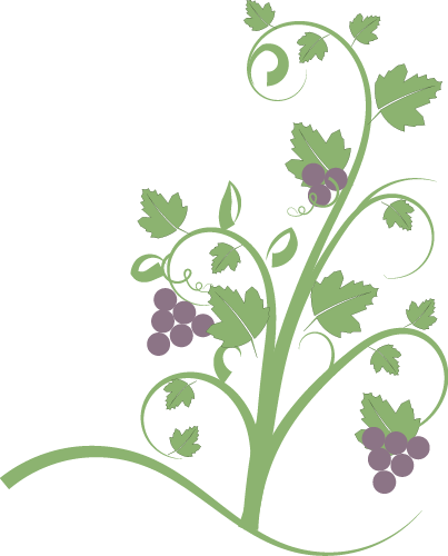 Grapevines - Vine With Fruit Clipart (403x500)
