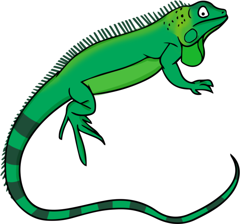 Lizard Clipart Free To Use Public Domain Lizards Clip - Iguana Clip Art (1024x1024)