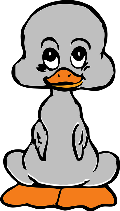 Custom Baby Duck Throw Blanket (411x720)
