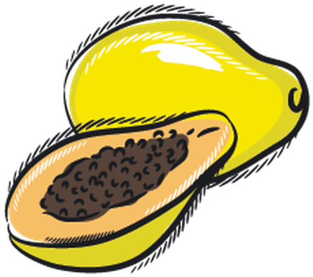 Set Of Fruits - Design (470x399)