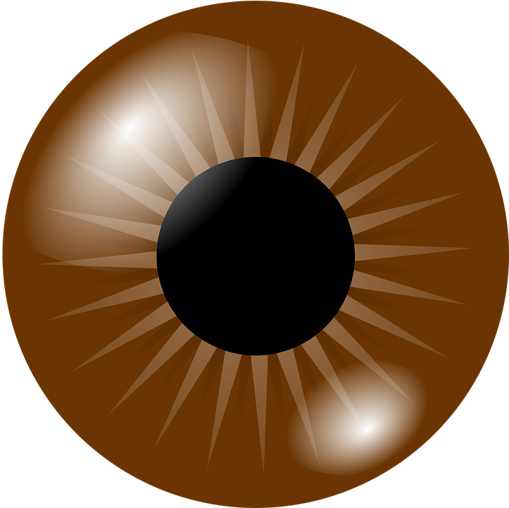 Brown Eye Clip Art At Clker - Brown Eye Clipart (791x720)