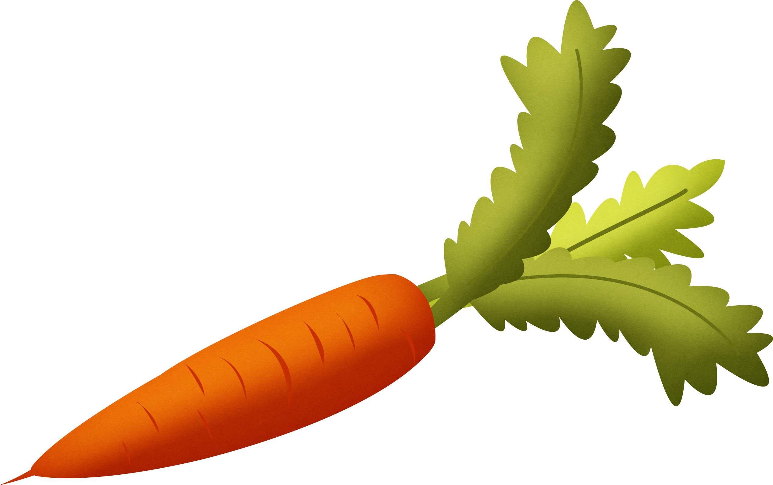 Carrot With Green Leaves Clipart Isolated Stock Photonobacks - Carrot Png (2542x1595)
