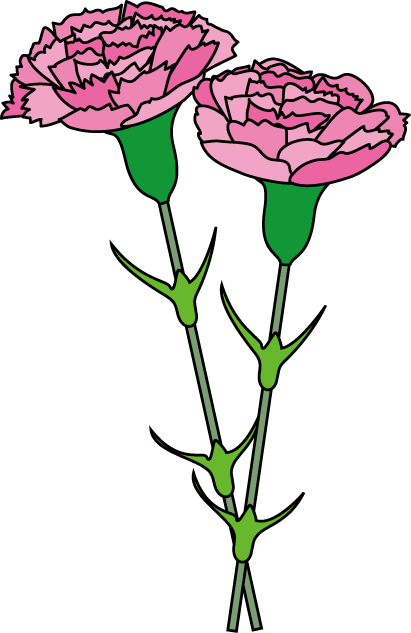 Carnation Cliparts - Pink Carnation Clip Art (411x633)