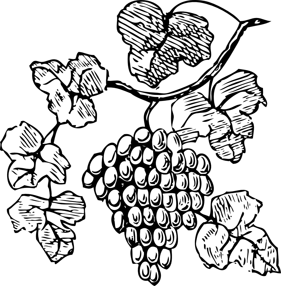 Clip Arts Related To - Grapes Clipart (982x1000)