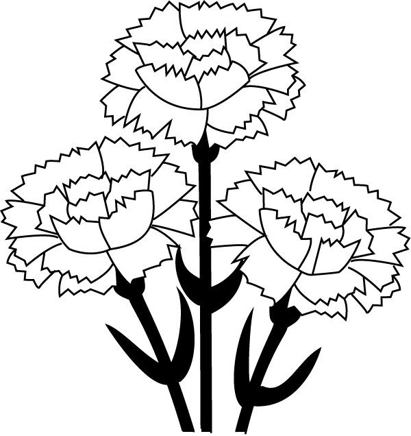 Carnation Clip Art - Carnation Flower Experiment Worksheet (600x636)
