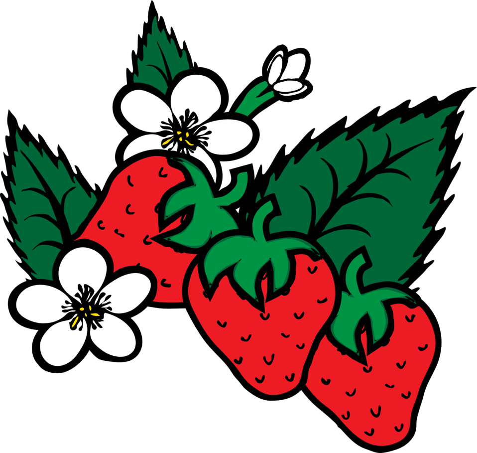 Strawberries, Lemons & Cherries - Strawberry Plant Clip Art (958x909)