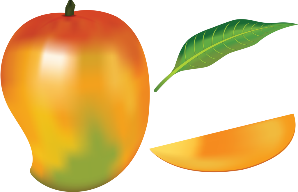 Mango Fruit Drawing Clip Art - Mango Fruit Drawing Clip Art (1024x662)