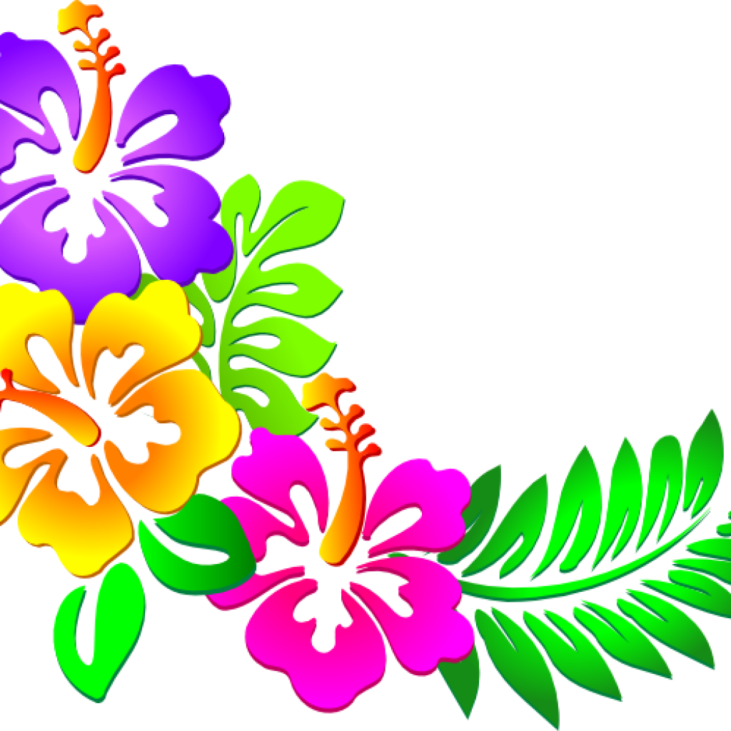 Hawaii Images Clip Art Hawaiian Clip Art Free Downloads - Clipart Flower Border Png (1024x1024)