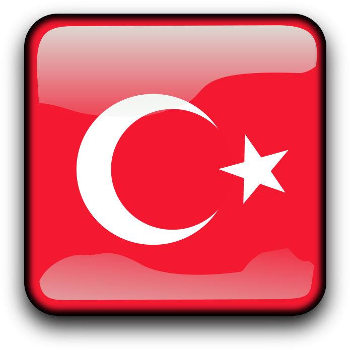 Turkey Tr Flag - Türk Çocuk Clip Art (900x900)