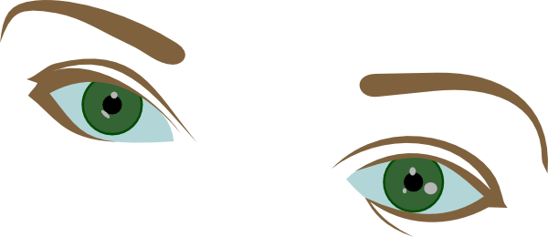 Eyes And Eyebrows Clip Art - Brown Eyebrows Clipart (600x260)