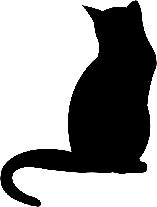 Cat Kitten Silhouette Black Shadow Outline - Cat Shadow (547x720)