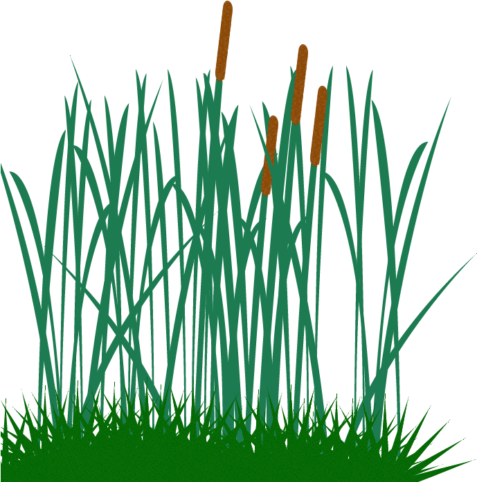 Tall Grass Clip Art Png Image - Tall Grass Vector (1024x768)