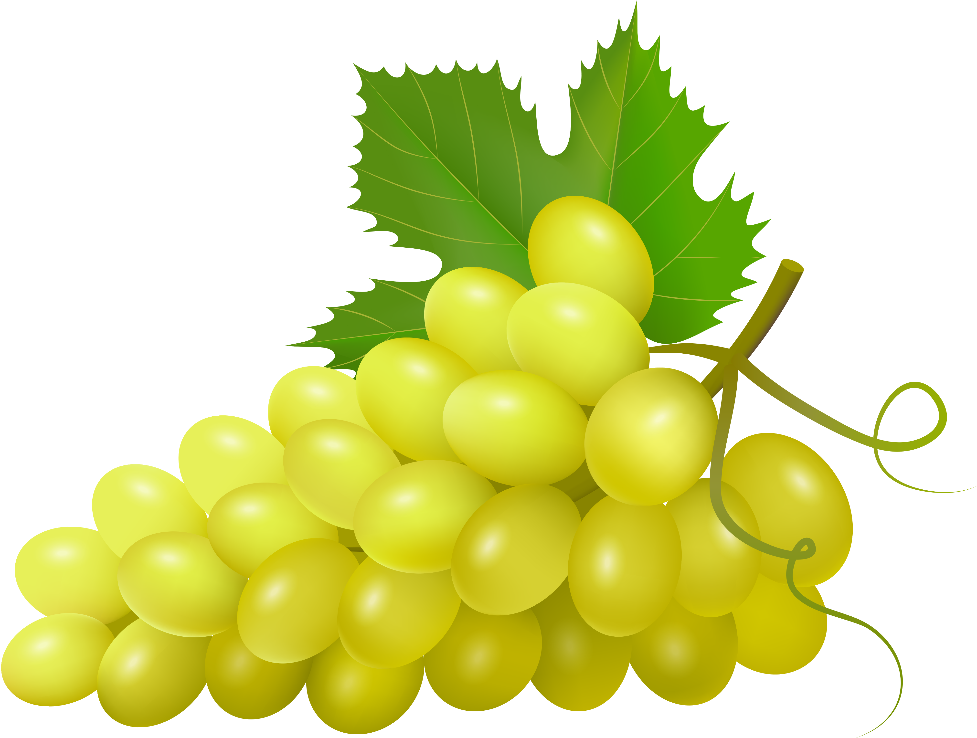 Soloveika На Яндекс - Uvas Verdes Frescas (4000x3022)