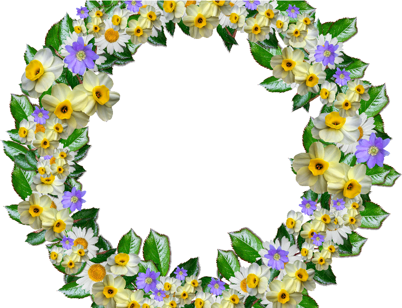 Real Flower Crown Clipart Png Free - Flower Crown Clip Art (800x600)