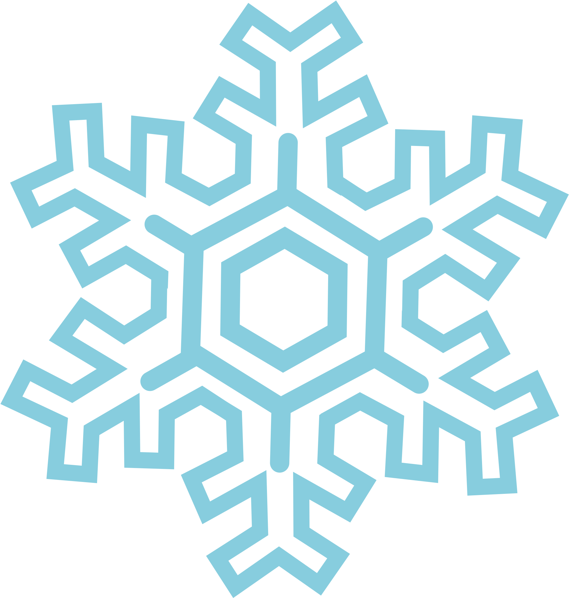 Snowflake - Snowflake Image Transparent Background Png (2300x2400)