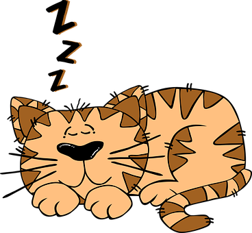 Cat Sleeping Cute Kitten Sleepy Asleep Fel - Cat Sleeping Clipart (368x340)