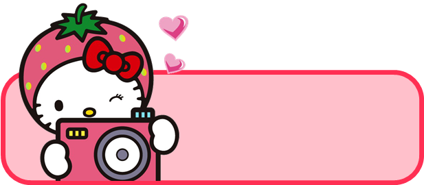 Hello Kitty Art - Hello Kitty With Camera (894x894)