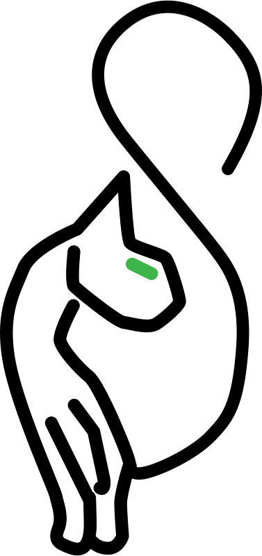 Free Stylized Kitty Cat - Kitty Cat Symbol (377x800)