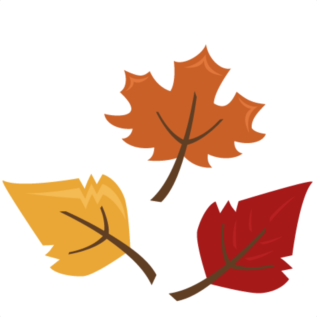 Fall Leaves Images Clip Art Fall Leaves Border Clipart - Fall Leaf Clip Art (1024x1024)
