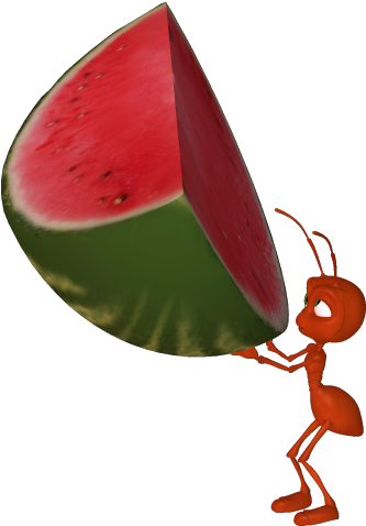 Ant Carrying A Watermelon (352x497)