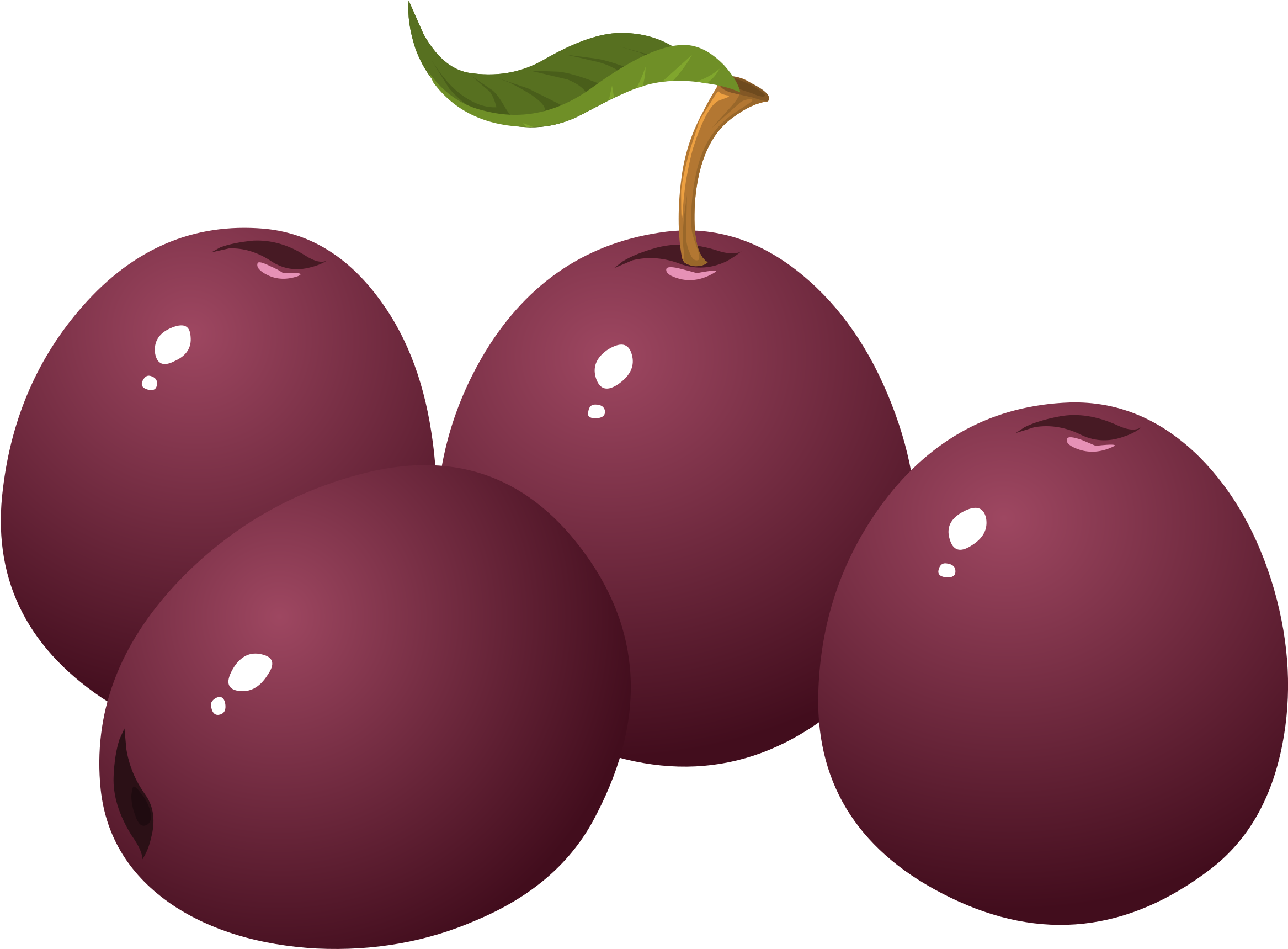 Plum Clipart Black And White - Plum Fruit Clip Art (2400x1718)